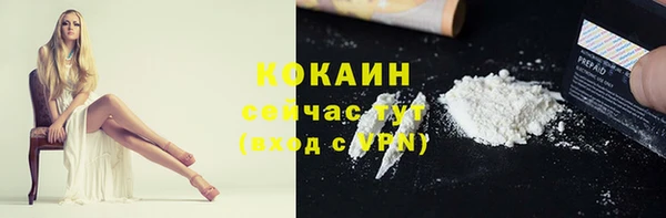 стаф Абинск