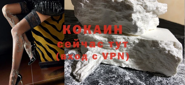 амф Протвино