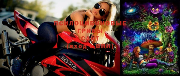 стаф Абинск