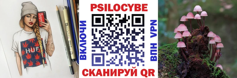 купить наркотики сайты  Кедровый  Псилоцибиновые грибы Magic Shrooms 