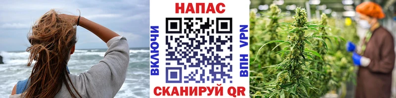 Каннабис ГИДРОПОН магазин продажи наркотиков Кедровый